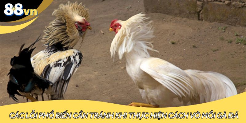 Các lỗi phổ biến cần tránh khi thực hiện cách vô mồi gà đá.