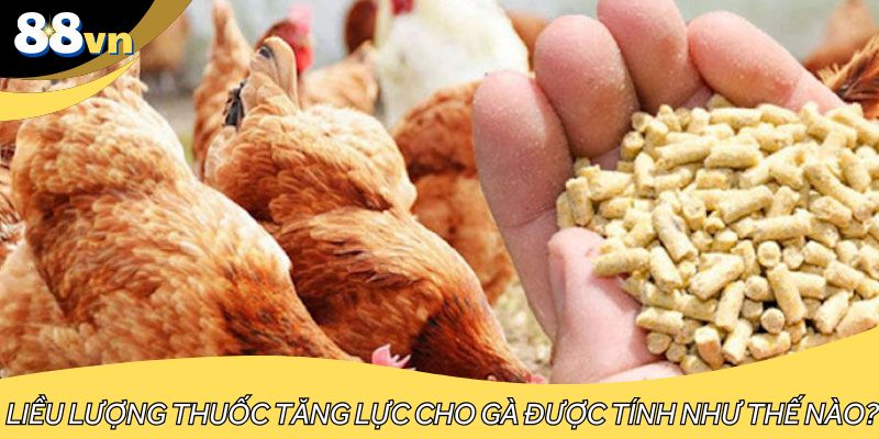 Liều lượng thuốc tăng lực cho gà được tính như thế nào?
