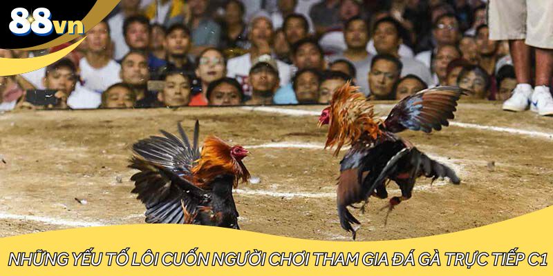 Những yếu tố lôi cuốn người chơi tham gia đá gà trực tiếp C1