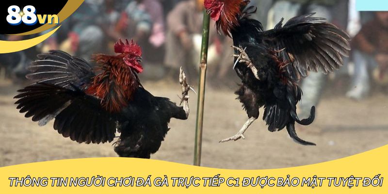 Thông tin người chơi đá gà trực tiếp C1 được bảo mật tuyệt đối