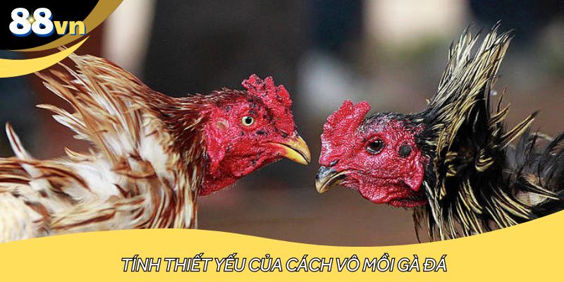 Tính thiết yếu của cách vô mồi gà đá