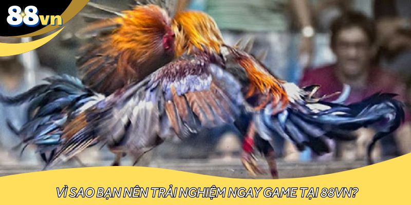 Vì sao bạn nên trải nghiệm ngay game tại 88VN?