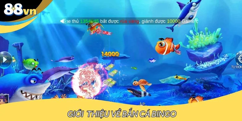 Vài điều thú vị xoay quanh bắn cá Bingo