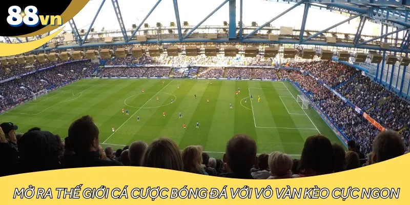 Mở ra thế giới cá cược bóng đá với vô vàn kèo cực ngon