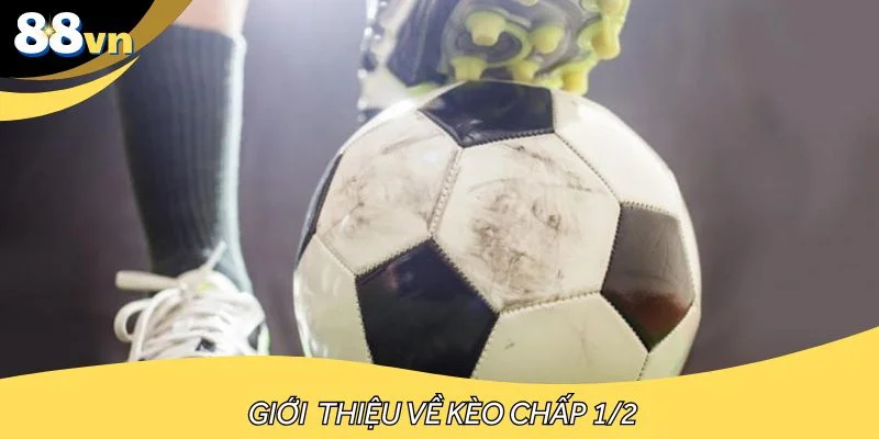 Khái niệm chuẩn xác của kèo chấp 1/2