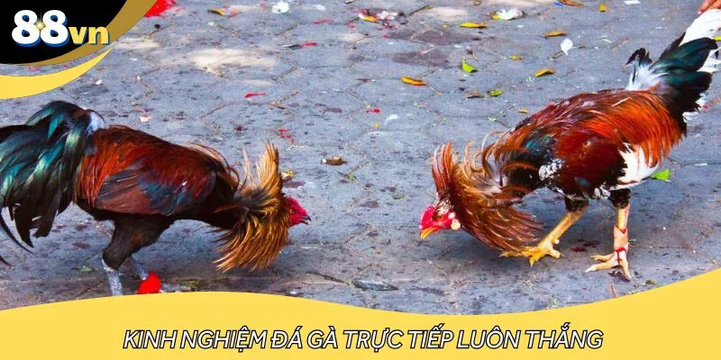 Kinh nghiệm đánh bại mọi trận đấu từ cao thủ